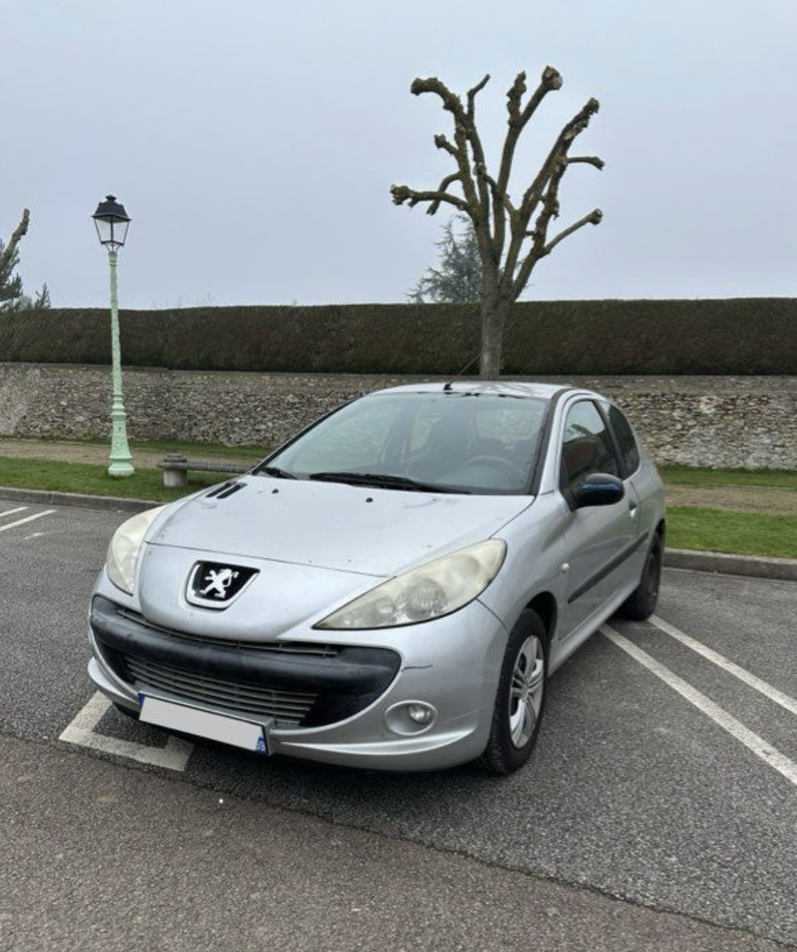 peugeot 206+